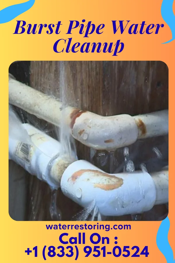 Burst Pipe Water Cleanup in Arlington, NY