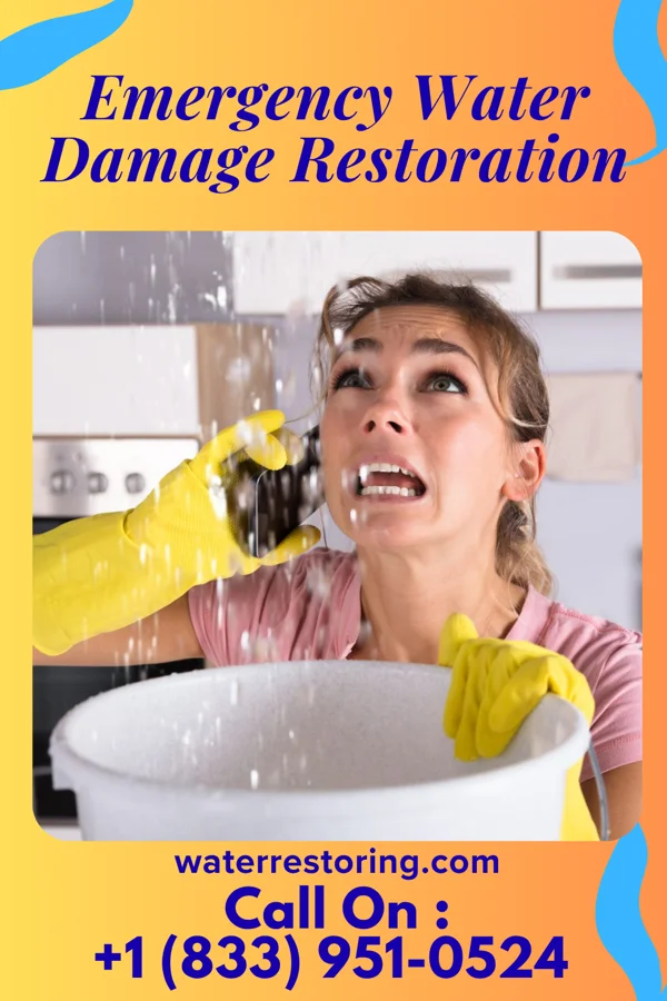 Emergency Water Damage Restoration in Arlington, NY