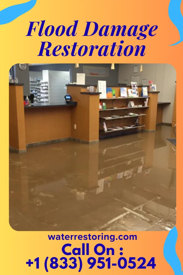Flood Damage Restoration in Arlington, NY
