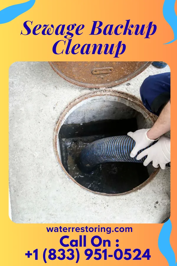 Sewage Backup Cleanup in Arlington, NY