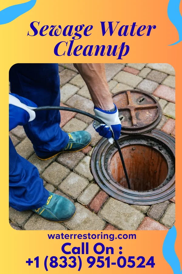 Sewage Water Cleanup in Arlington, NY